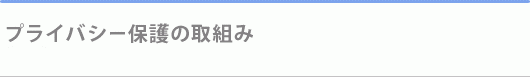 �v���C�o�V�[�ی�̎�g��